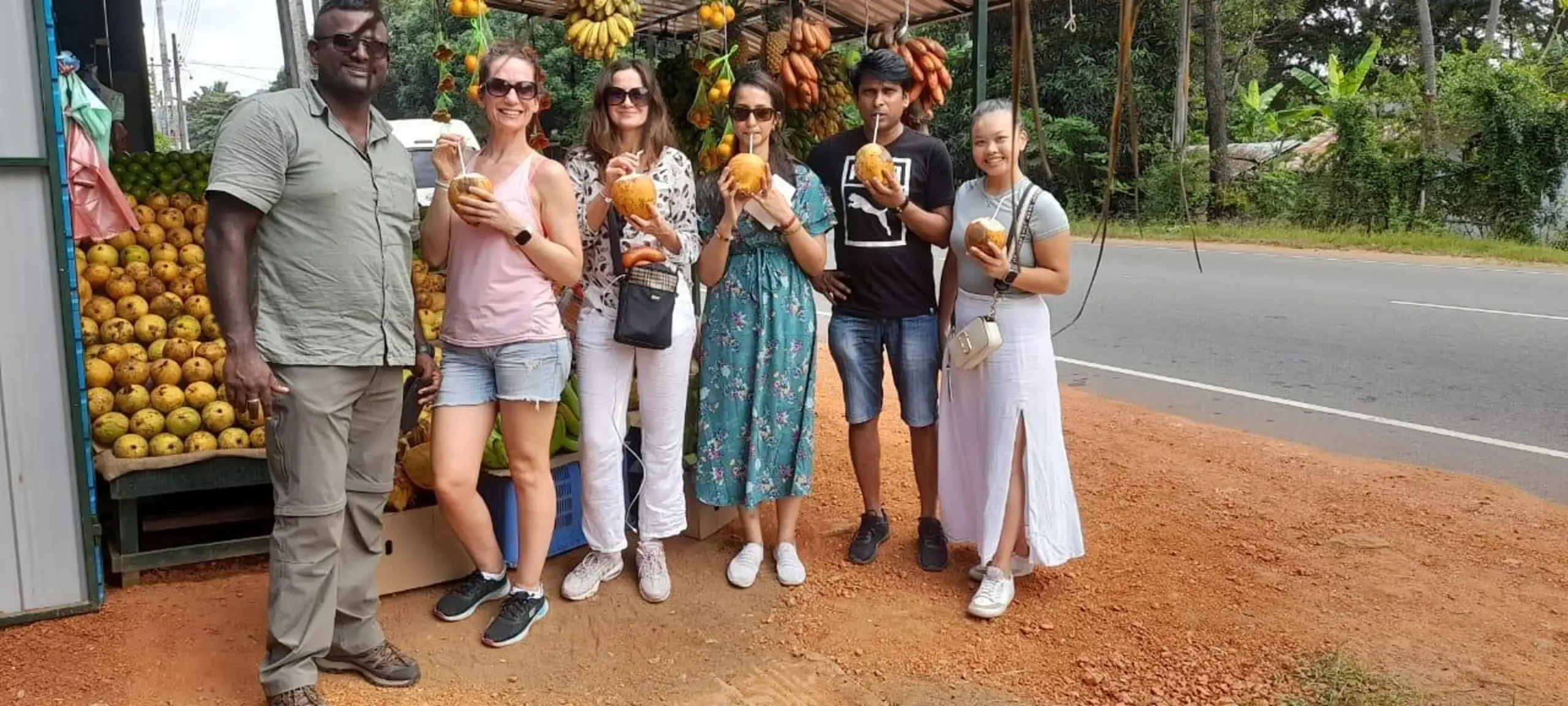 From Colombo: Sigiriya and Dambulla Day Trip and Safari