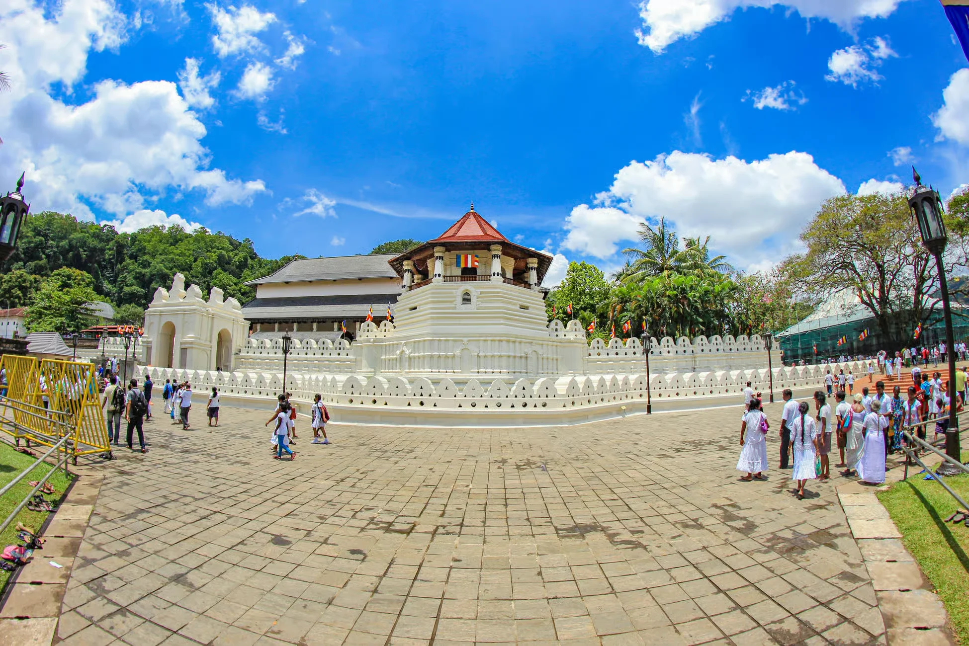 From Colombo: Kandy and Pinnawala Full-Day Trip