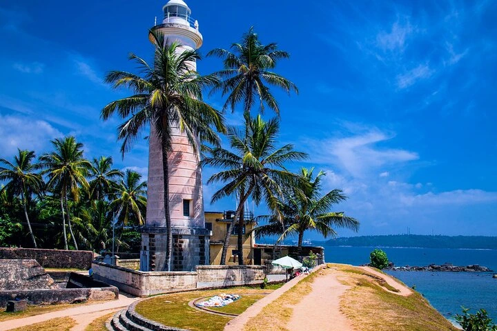 Galle Day Trip with River Safari, Sea Turtle & Stilt Fishermen